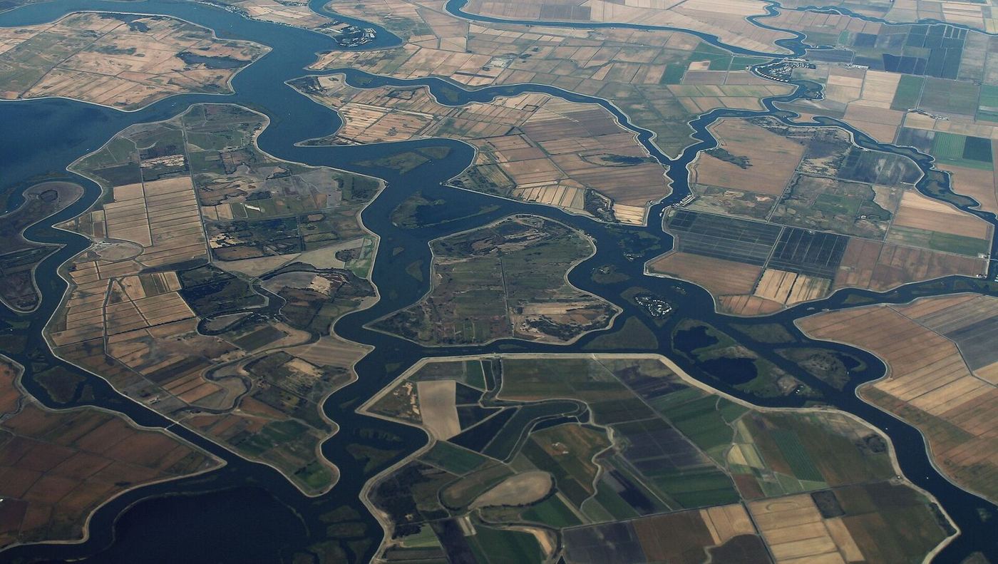 The Delta from above, water braided through farmland